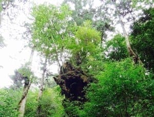 kyokannnokatachi
